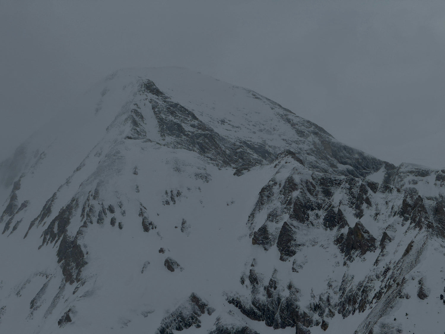 Timberline Collection